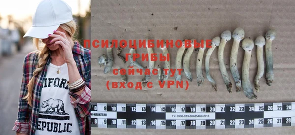 крисы Ростов