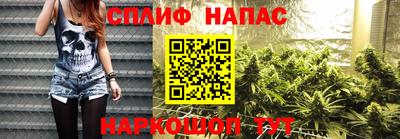 мдпв Новозыбков