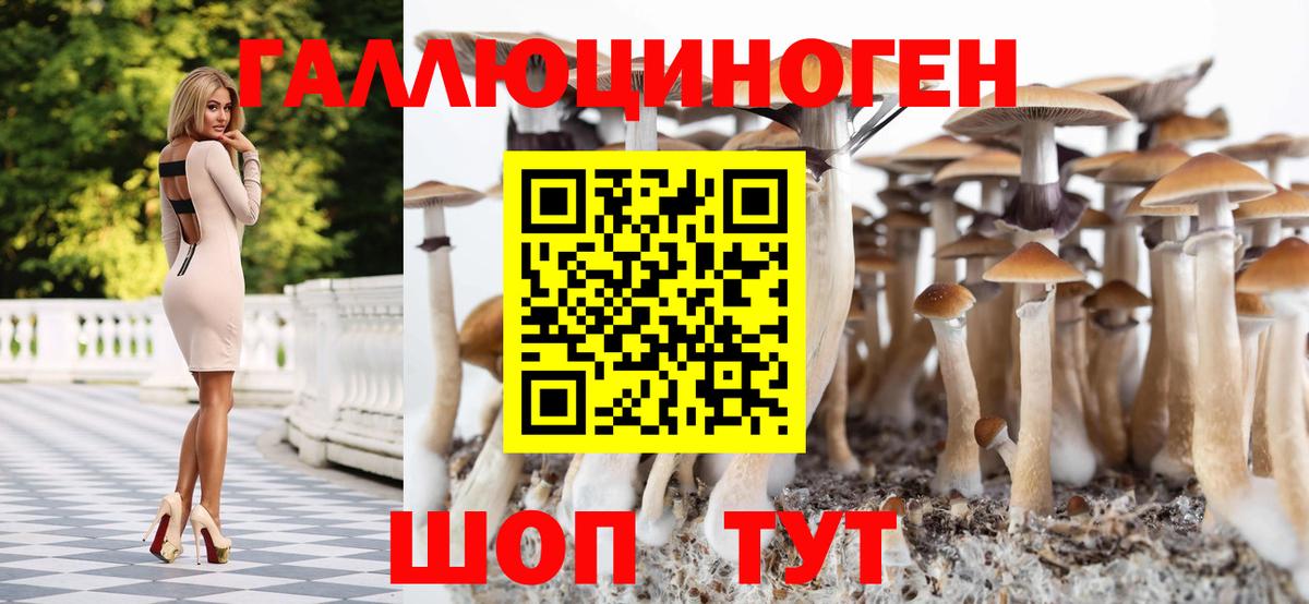 где купить наркоту  Галлюциногенные грибы Psilocybe  Вход с VPN  Фурманов 